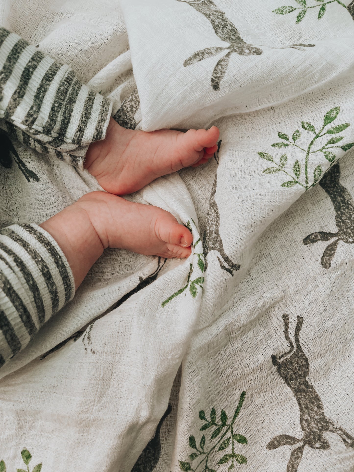 Woodland creatures Muslin Cloths