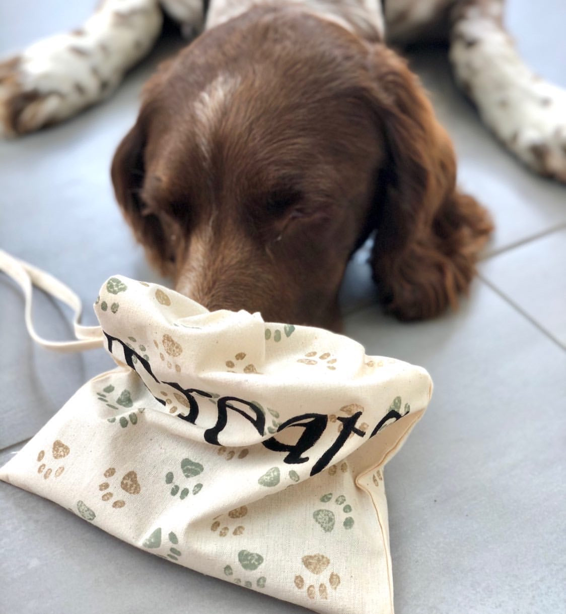 Block Printed Treat Bags